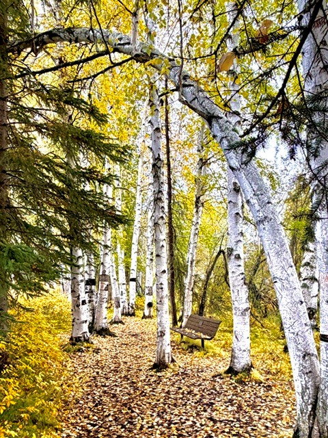 Peacefully Poetic Scenes