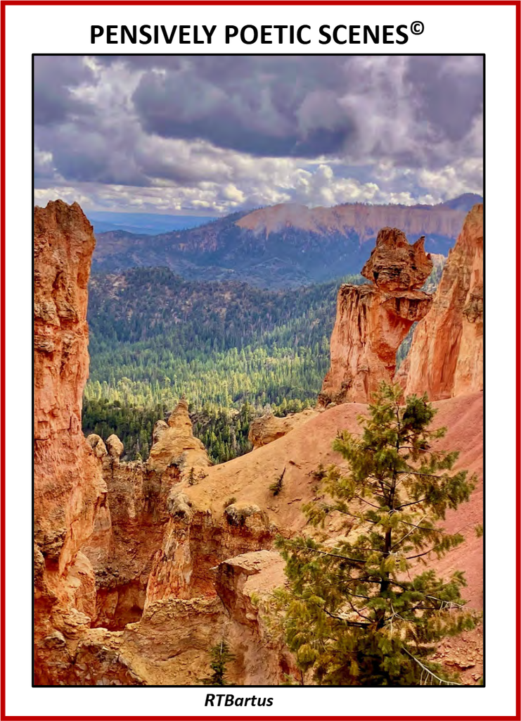 Pensively Poetic Scenes